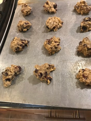 cranberrycookiemixrawSandy